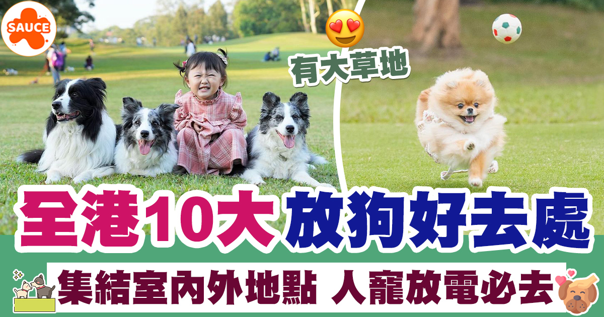 放狗好去處 | 全港10大室內外放狗好去處、集結室內外地點人寵放電必去! | SAUCE - 為生活加一點味道